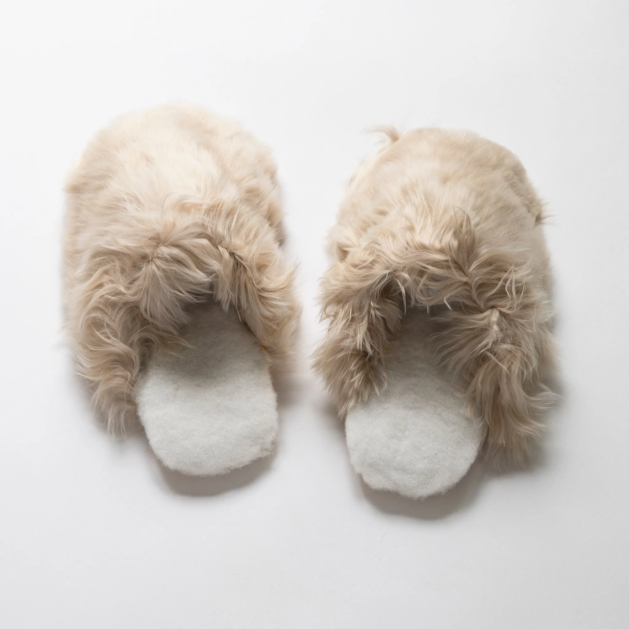 Alpaca Slipper