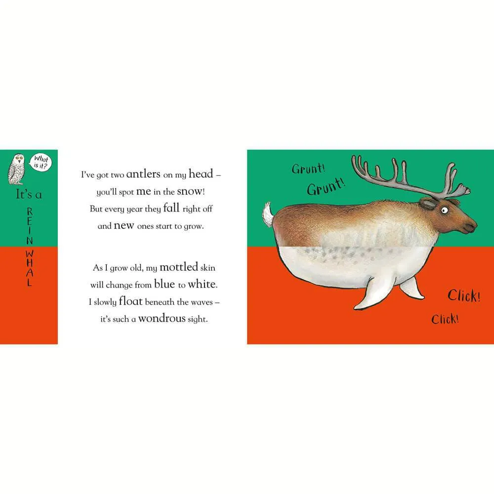 Axel Scheffler Flip Flap Frozen