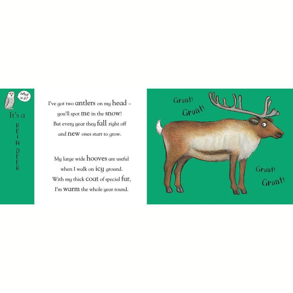 Axel Scheffler Flip Flap Frozen
