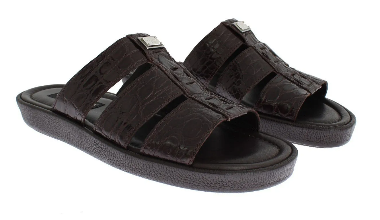 Brown Caiman Crocodile Leather Sandal Shoes