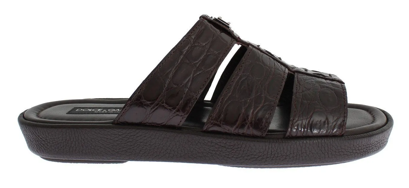 Brown Caiman Crocodile Leather Sandal Shoes