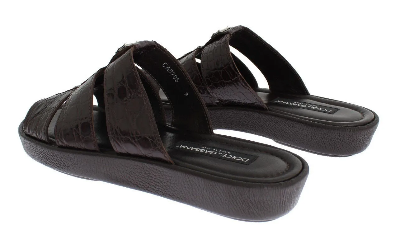 Brown Caiman Crocodile Leather Sandal Shoes