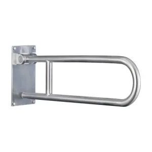 Flip-Up Grab Bar