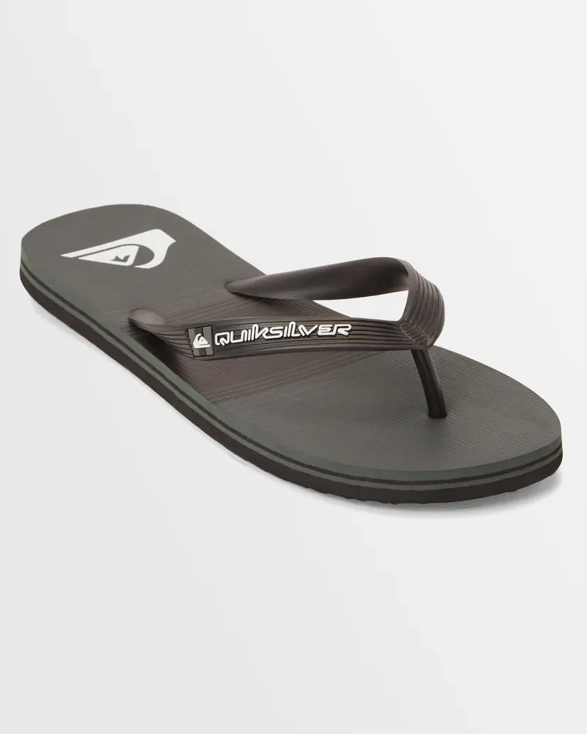 Quiksilver Molokai Stripe - Grey 2