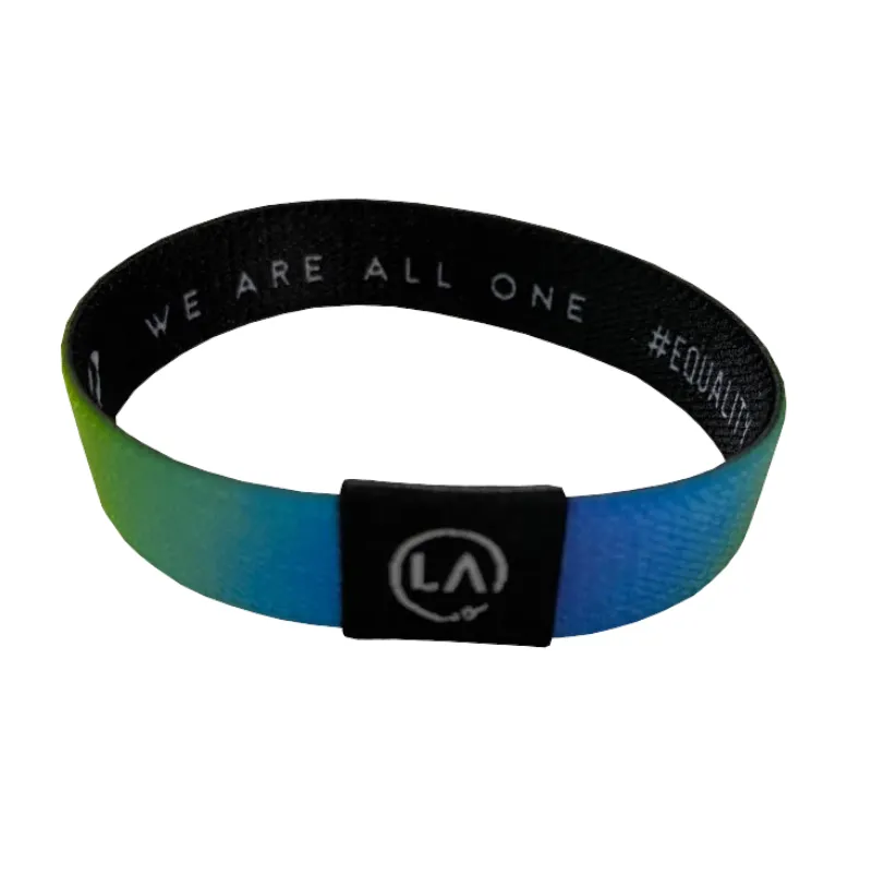 ReImagine Equality Band