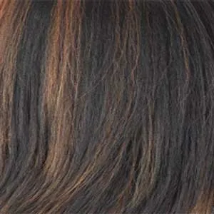 Shake N Go Organique Synthetic Hair Lace Front Wig - DESIRE